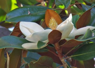 Прикрепленное изображение: 005.jpg